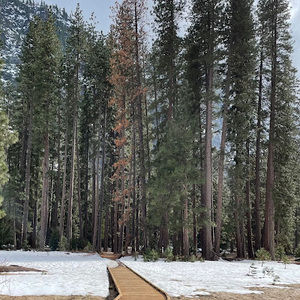 Meet your Posher, Vicki